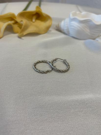 Işıltılı İnce Burgu Model Küpe
